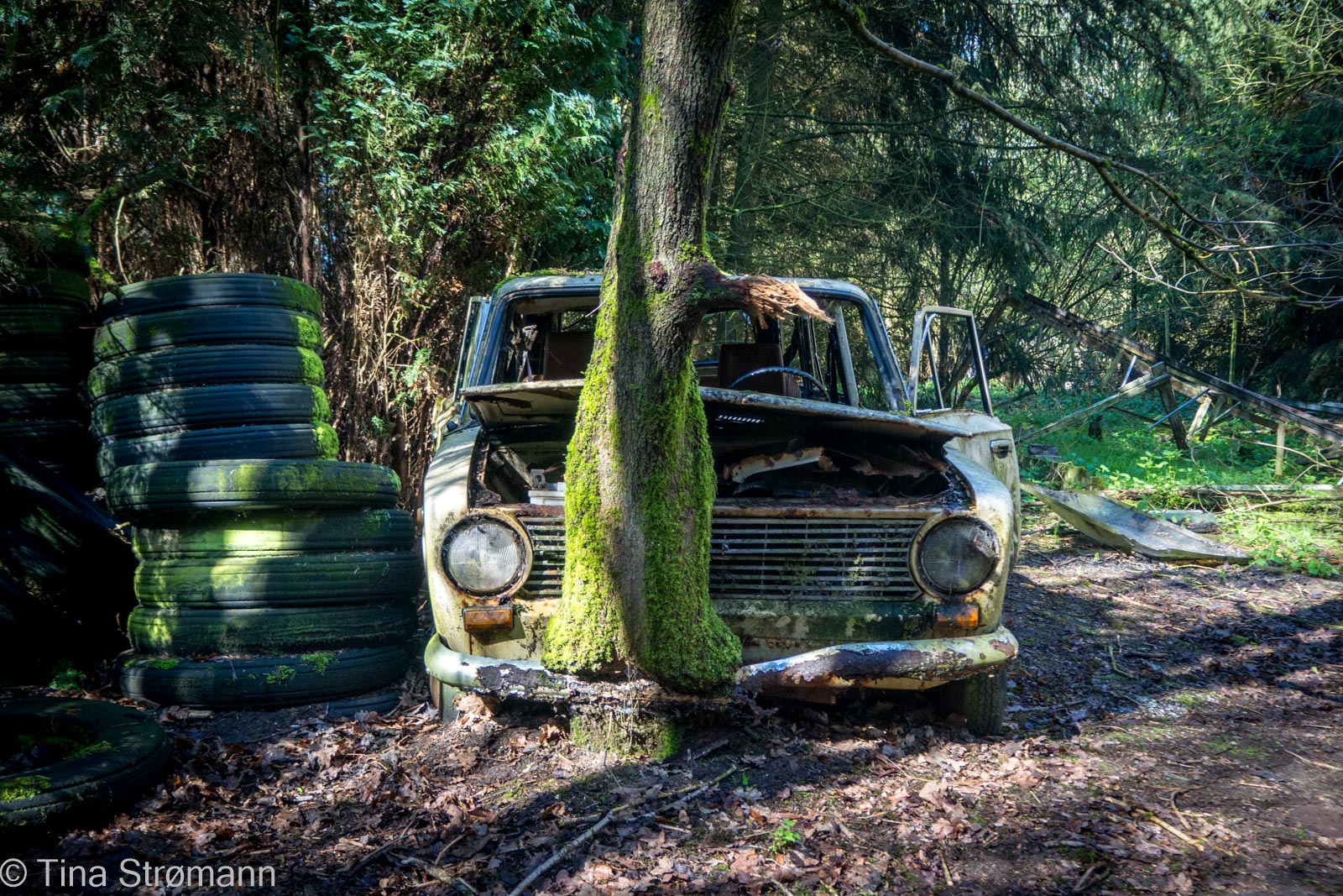 Lost ind the woods, Belgien