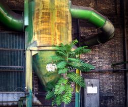 Grøn Fabrik, Øko mand, Italien