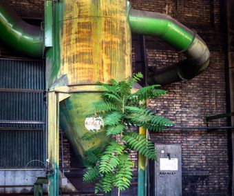 Grøn fabrik, Italien